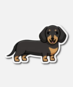 STICKER R09