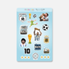 PLANCHA DE STICKERS SELECCION