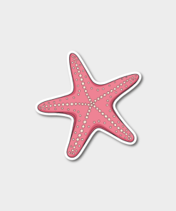 STICKER F73 - Estrella de mar
